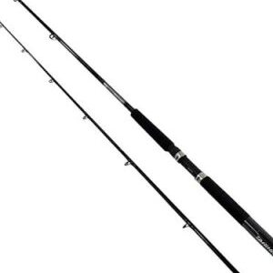 Downrigger and Boat Rods
