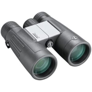 Bushnell 10x42 2.0 Aluminum