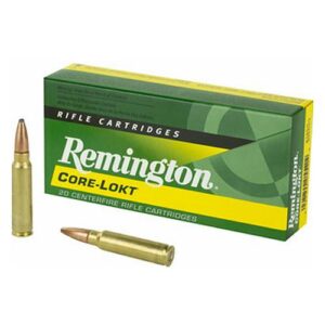 Remington Core Lokt 300 Savage