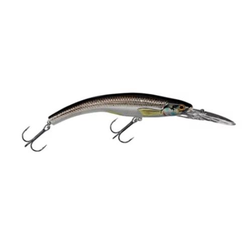 LIVETARGET Rainbow Smelt Banana Bait