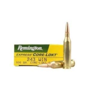 Remington 243 Win 100gr PSP