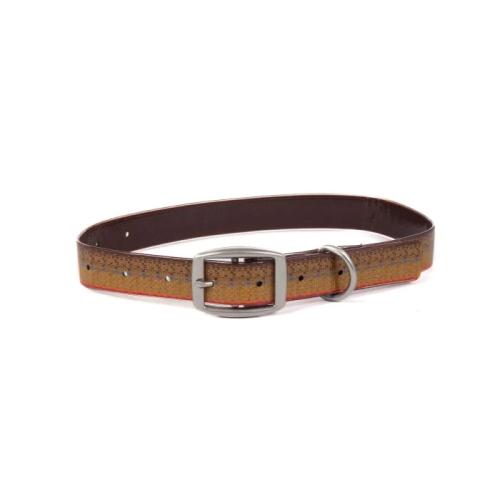 Sporting collars hot sale