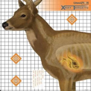 Champion X-Ray Deer Target