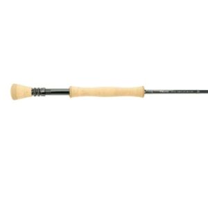 Echo Ion XL Fly Rod