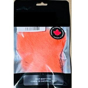 Shor Deer Body Died From White