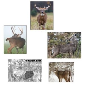 Masters Series 5pc Whitetail Paper Target Collection
