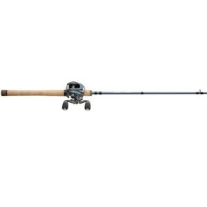 Pflueger President Baitcast Combo