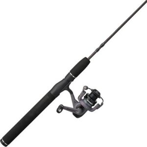 Shakespeare Synergy Spinning Combo