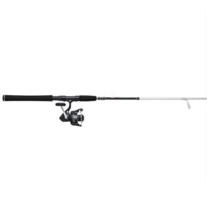 Penn Pursuit V Spinning Combo