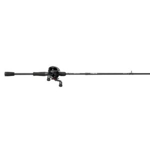 Abu Garcia Max SX Baitcast Combo