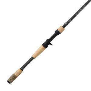 Fenwick Eagle Bass Casting Rod