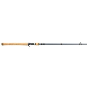 Pflueger President Casting Rod
