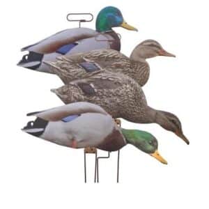Higdon Motions Flatts Mallard Duck Decoys