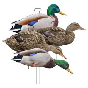 Higdon Apex Flatts Mallard Duck Decoy