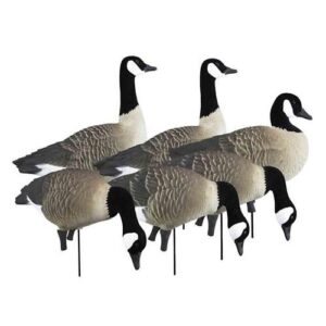 Higdon Apex Full Size Full Body Variety Pack