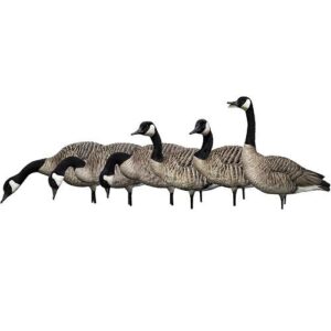 Avian-X AXP - Fusion Honker Pack