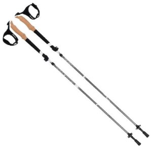 Allen Alpha Aluminum Trekking Poles