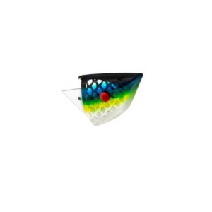 Rhys Davis Anchovy Special UV
