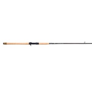 Fenwick Eagle Salmon & Steelhead Casting Rod