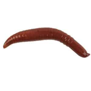 Berkley Gulp Floating Pinched Crawler