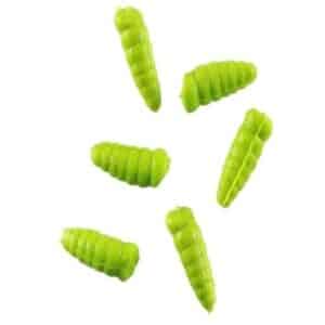 Gulp Alive Wax Worms