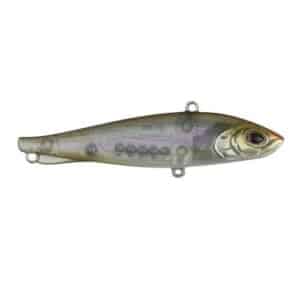 Berkley Ripfish