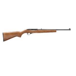 Ruger 10/22 Semi-Auto 22LR