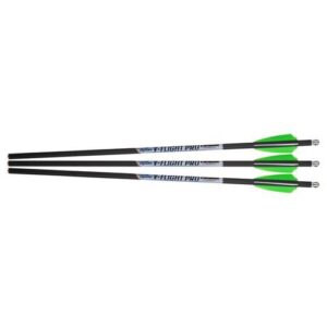 Excalibur V-Flight Illuminated Pro Arrows