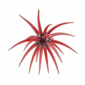 Berkley Powerbait MaxScent 'Moeba